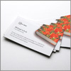 Visitenkarten, 4x0, Paket 100 Stk., 85x55mm auf Bilderdruck 300g